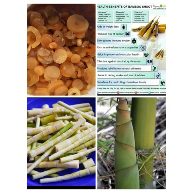 Bamboo Murabba with Kombu Honey கொம்பு தேனில் ஊறிய மூங்கில் குருத்து / தண்டு