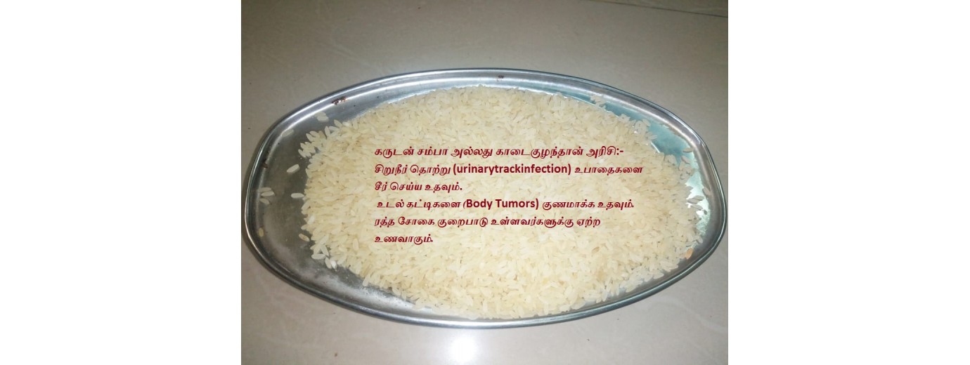 Karudan-samba rice