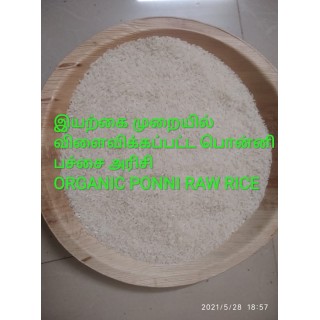 Organic Naattu Ponni Raw Rice / நாட்டு பொன்னி பச்சரிசி
