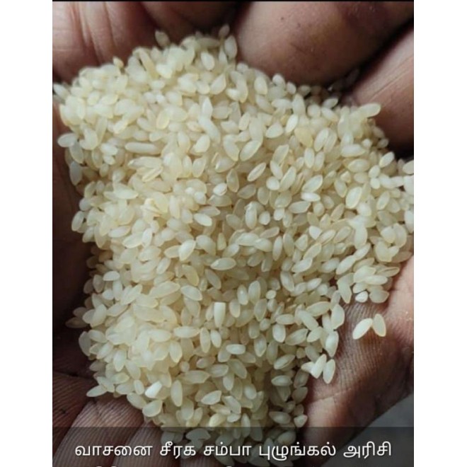 Organic Traditional Aromatic Seeraga Samba Boiled Rice / வாசனை சீரக சம்பா புழுங்கலரிசி