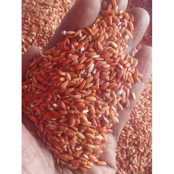 Organic Traditional Annamazhagi Raw Rice / பாரம்பரிய அன்னமழகி அரிசி 