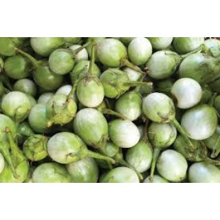 ORGANIC GREEN BRINJAL / பச்சை கத்தரிக்காய்