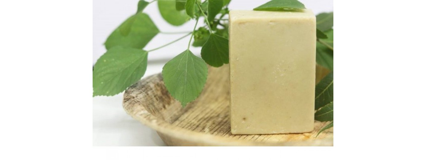 Kuppaimeni Soap