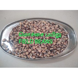 Field Beans / Mochai Payaru மொச்சை பயிறு 