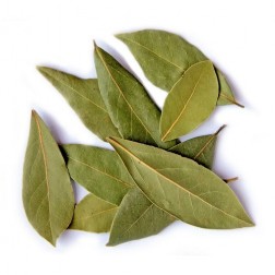 Briyani / Brinji leaf -பிரியாணி இலை