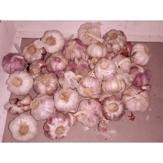 Himalaya Garlic ஹிமாலய பூண்டு