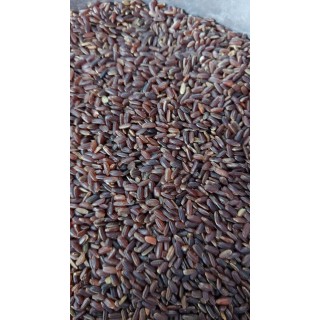 Organic Traditional Soorakkuruvai Rice சூரக் குறுவை அரிசி