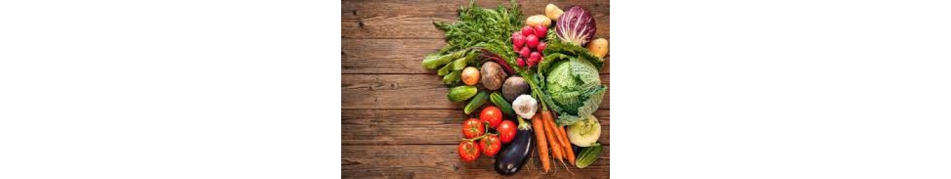 FRESH ORGANIC VEGETABLES இயற்கை முறையில் விளைவிக்கப்பட்ட காய்கறிகள்